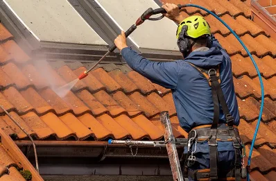 Démoussage et hydrofuge de toiture à Viriat